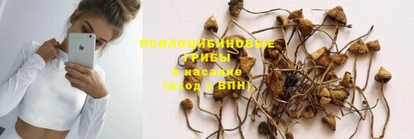 прущие грибы Абдулино
