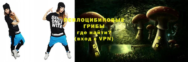 ГАЛЛЮЦИНОГЕННЫЕ ГРИБЫ Сатка