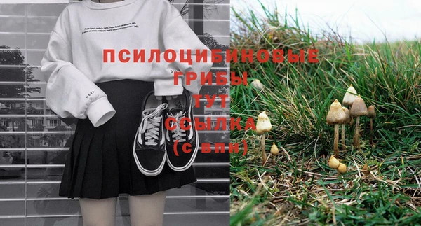крисы Абинск