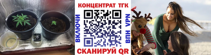 ТГК Wax  ОМГ ОМГ как зайти  Шарыпово 