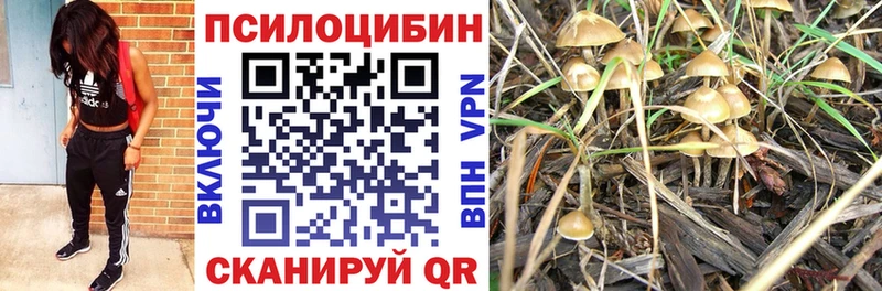 Псилоцибиновые грибы Cubensis Шарыпово