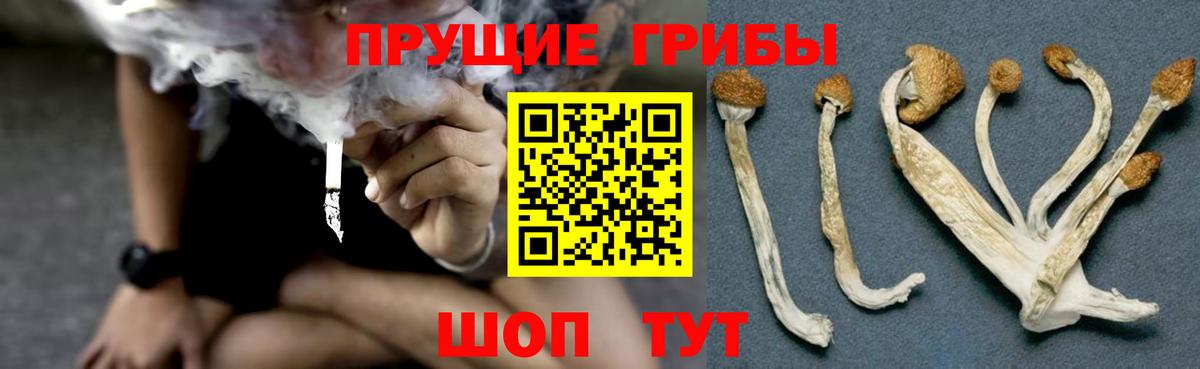 Псилоцибиновые грибы мухоморы  Вход с VPN  купить  цена  Шарыпово  Псилоцибиновые грибы Magic Shrooms 